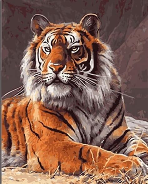 Tiger Animal Paint By Numbers - Numeral Paint Kit