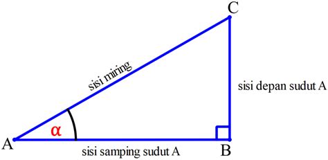 Perbandingan Trigonometri pada Segitiga Siku-siku - Dumatika.id