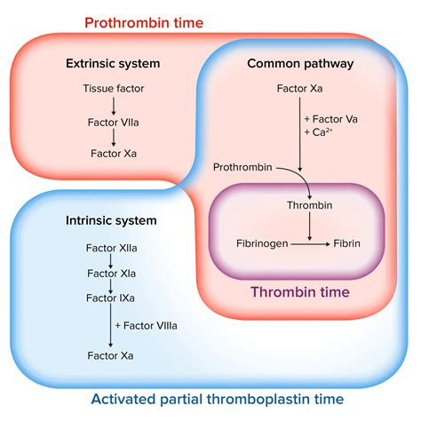 Coagulation Fishbone Diagram