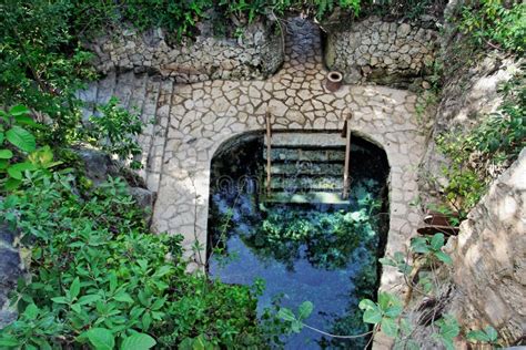 Cenote Cave in Yucatan Mexico Stock Photo - Image of central, peninsula: 26195082