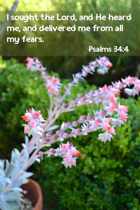 Psalms 34:4 Bible Psalms, Book Of Psalms, Verse Quotes, Bible Verses Quotes, Bible Scriptures ...