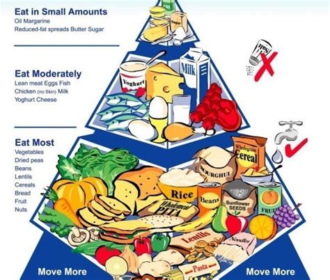 Will the Nutrition Australia Food Pyramid Fight Obesity? | Plant Based ...