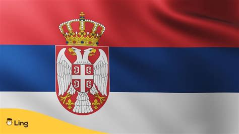 Serbian Flag: 3 Useful Facts You Need To Know - ling-app.com