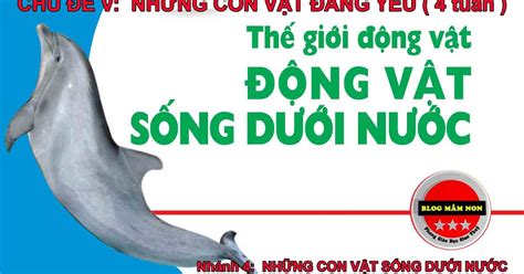 Giáo án chủ đề những con vật sống dưới nước - Giáo án nhà trẻ 24-36 tháng