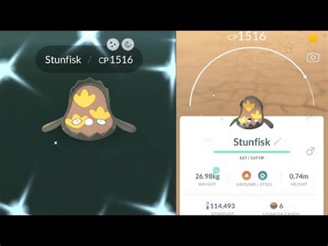 WE CAUGHT SHINY GALARIAN STUNFISK! HOW TO CATCH SHINY GALARIAN STUNFISK IN POKEMON GO! - YouTube