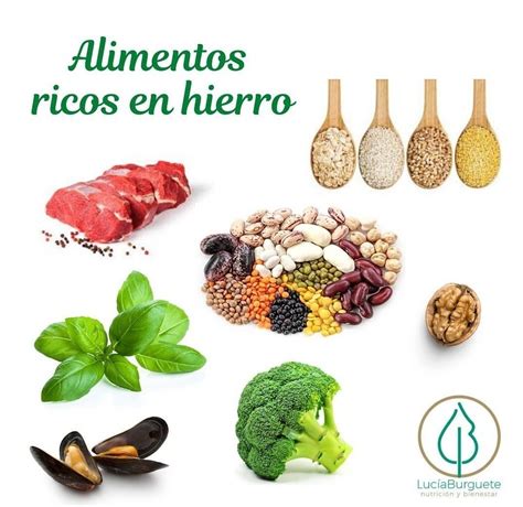 Arriba 96+ Foto Alimentos Que Contienen Hierro Y Calcio Actualizar