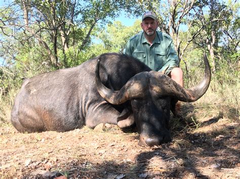 SOUTH AFRICA: Hunt With White Lion Safaris 2017 | AfricaHunting.com