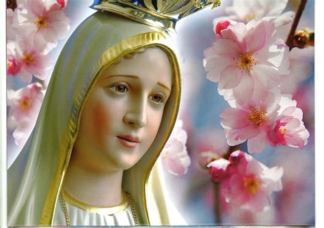 Mary Mother Of God Wallpaper - Wallpapersafari C6C