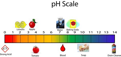 Ph Scale Base And Acid