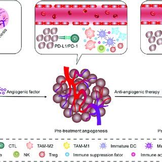 Relationship between tumor angiogenesis and immune microenvironment... | Download Scientific Diagram