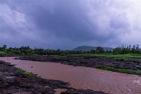 Trip To Dang Forest, Gujarat - Tripoto