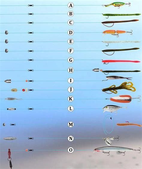 guide to fishing bass #fishforbass | Bass fishing tips, Crappie fishing ...