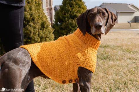 Easy Crochet Dog Sweater for Large, XL, XXL Dogs, and Giant Dogs (Printable Version) - Heart ...