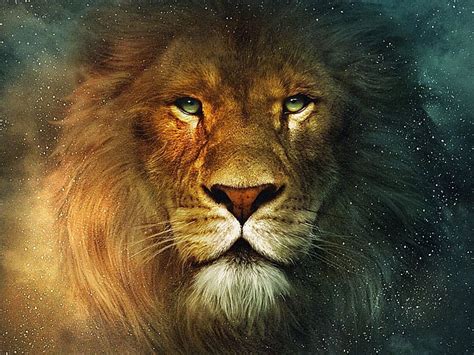 HD wallpaper: animal cat Leo Animals Bears HD Art, Lion, mane ...