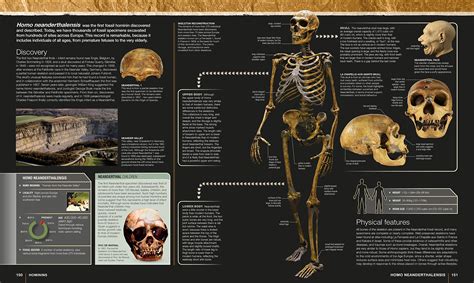 Evolution - Dr. Alice Roberts