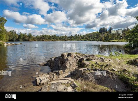 Tarn Hows Lake district in September Stock Photo - Alamy