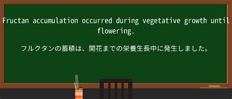 【英単語】fructanを徹底解説！意味、使い方、例文、読み方