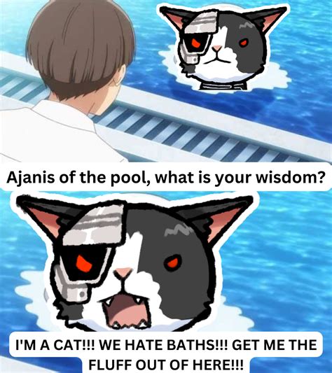 Meme Monday: Cat in the Pool : r/VirtualYoutubers