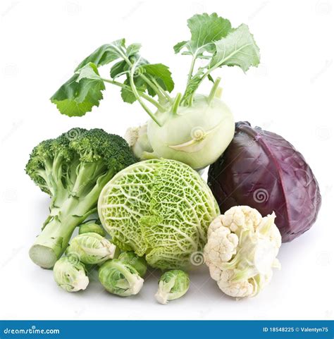 Collection Of Different Varieties Of Cabbage Royalty Free Stock Photo ...