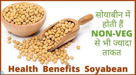 Soya Bean Benefits सोयाबीन खाने के जबरदस्त फायदे और नुकसान