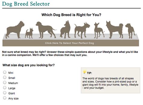 8 Dog Breed Selector Tools For Find Your Perfect Dog!