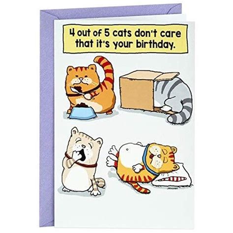 10 Funny Cat Birthday Cards - Oh How Unique! https://buff.ly/2NlR8TB ...