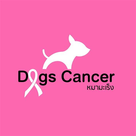 หมามะเร็ง Dogs Cancer Thailand