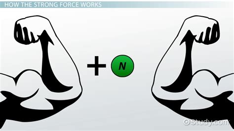 Strong Force: Definition, Equation & Examples - Video & Lesson ...