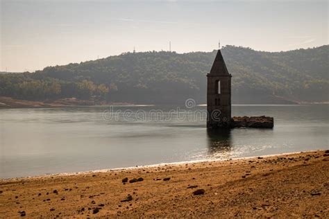 Swamp in Sau Reservoir, Catalonia, Spain Stock Photo - Image of outdoor ...