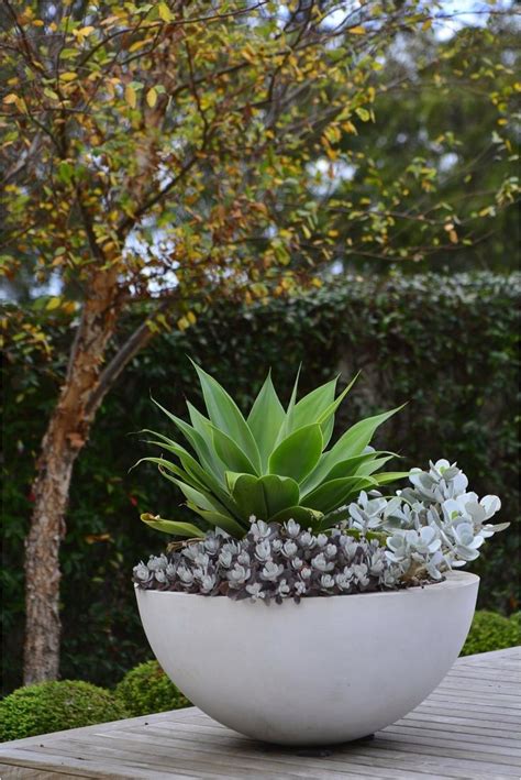 30+ Ideas For Potted Plants On Patio – ZYHOMY