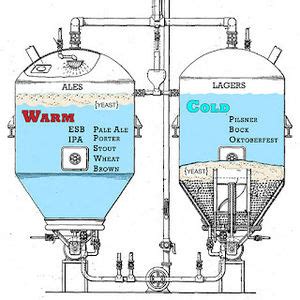 Saccharomyces cerevisiae use and function in alcohol production - microbewiki