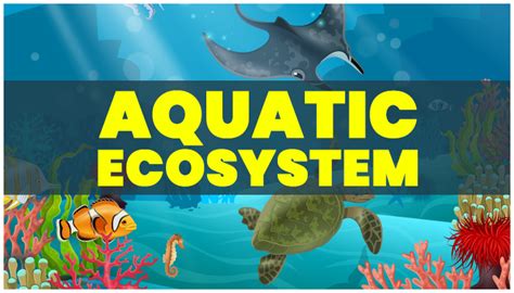 Aquatic Ecosystem - Types of Aquatic Ecosystem | PW