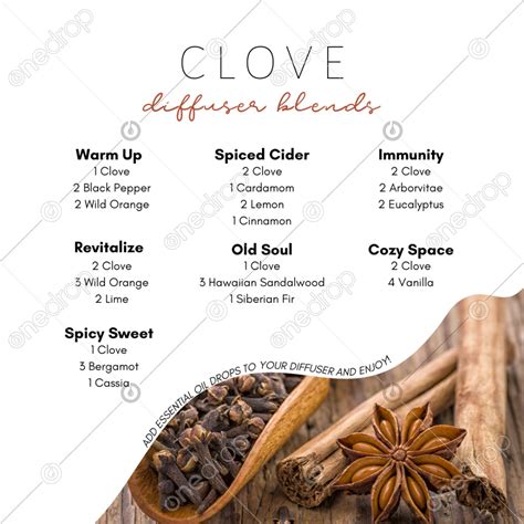 Clove diffuser Blends by Pixel Perfect