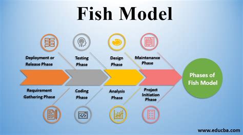 Fish Model | Top 8 Amazing Phases of Fish Model You Need to Know