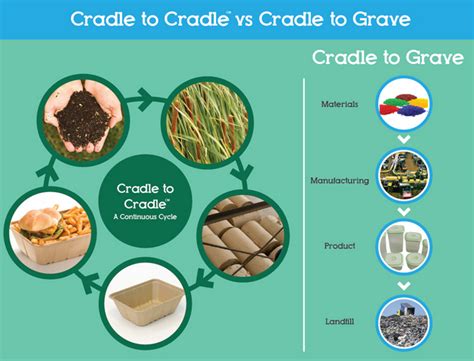 The GREEN MARKET ORACLE: Infographic - Cradle to Cradle: Rethinking Design