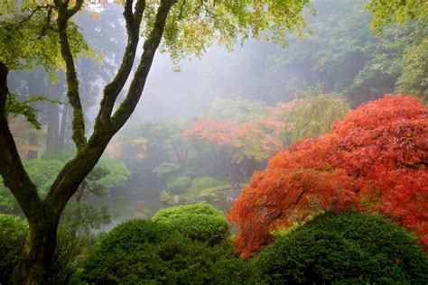 8 Stunning Photos Of Oregon's Fall Foliage