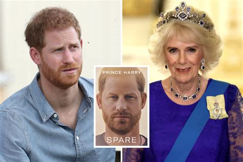 Five Times Prince Harry Slammed Queen Camilla in Public: 'The Villain ...