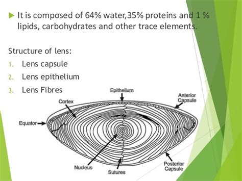 Anatomy of crystalline lens by Dr. Aayush Tandon