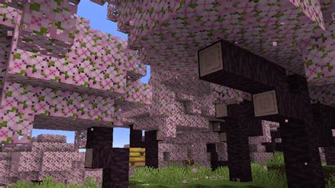 Experience the Pink Magic: Minecraft's Cherry Blossom Biome