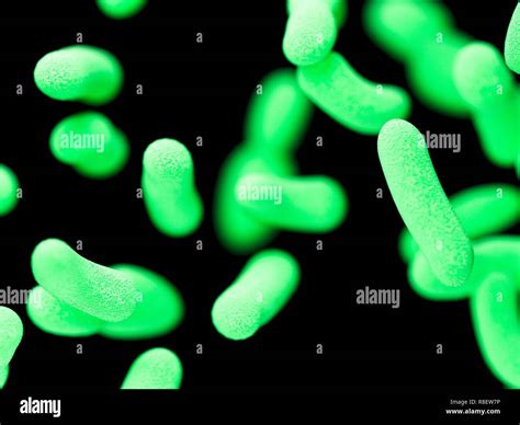 Illustration of bacteria Stock Photo - Alamy