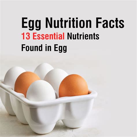 Egg Nutrition Facts- 13 Essential Nutrients Found in Egg