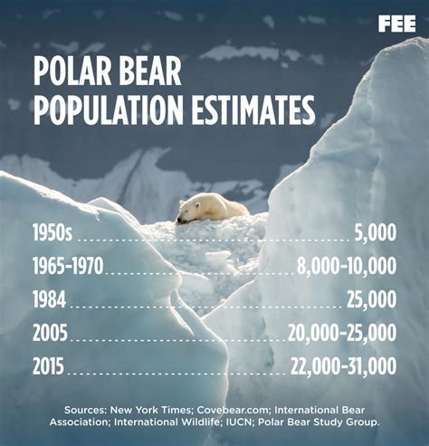 Fallout From Covid-19, Climate Change And Polar Bears — PPHB | Energy Investment Banking