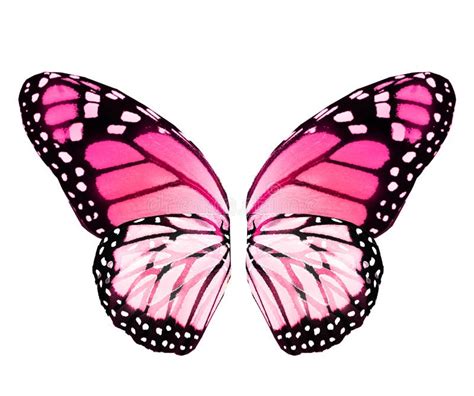 137,623 Butterfly Wings Stock Photos - Free & Royalty-Free Stock Photos from Dreamstime