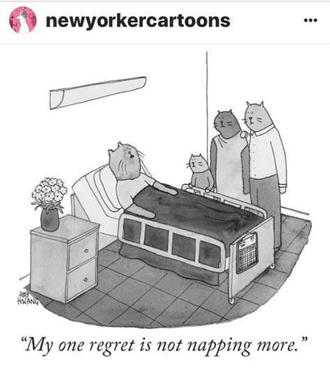 My One Regret... | New yorker cartoons, Cartoon, Cartoon cat