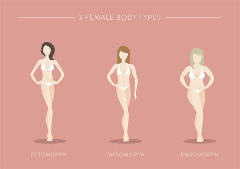 What your body type means — endomorph, mesomorph and ectomorph