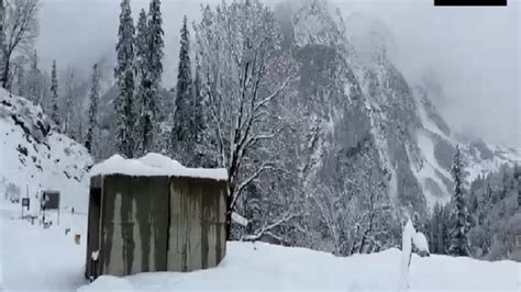 Shimla, Kufri and Manali receive light snowfall; more snow expected in ...