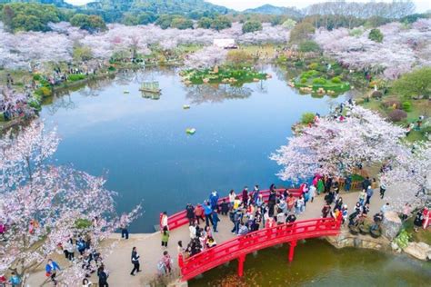 Hubei tourist attractions to give free admission to medical workers - Chinadaily.com.cn