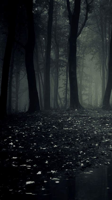 8K Dark Forest Wallpapers - Top Free 8K Dark Forest Backgrounds ...