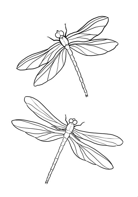 Dragonfly tattoo stencil – Artofit