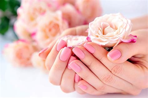 Roses, Hands, Woman, Manicure, HD wallpaper | Peakpx